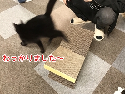 aa aa