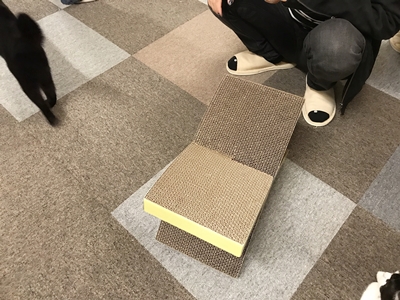aa aa