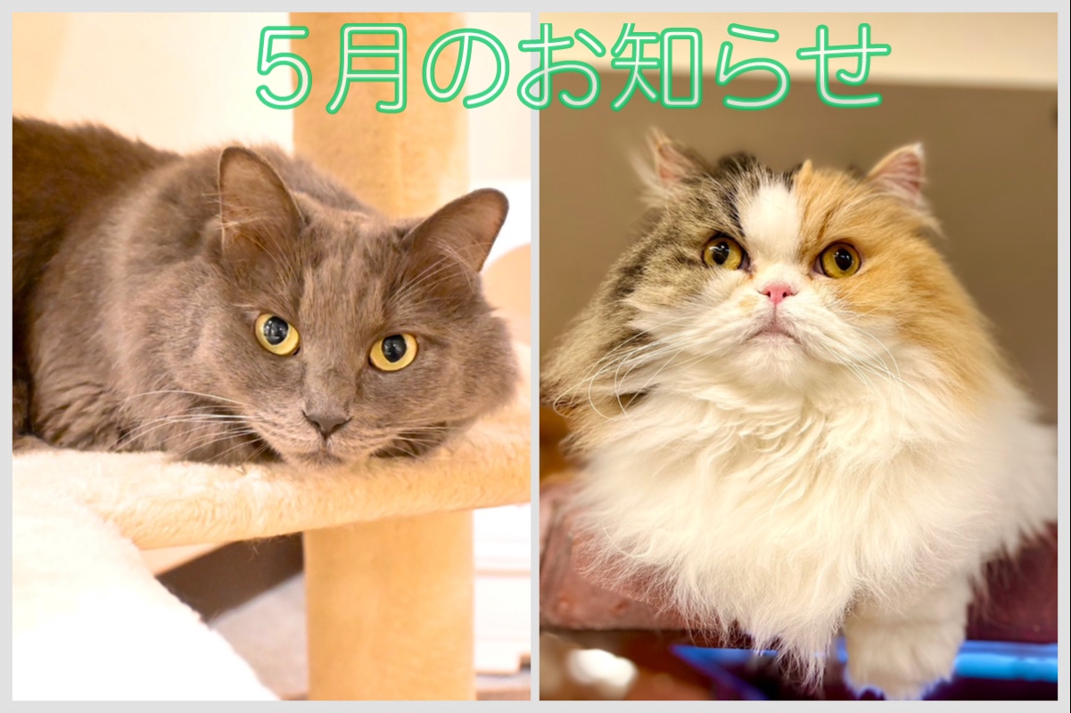 5̂m点