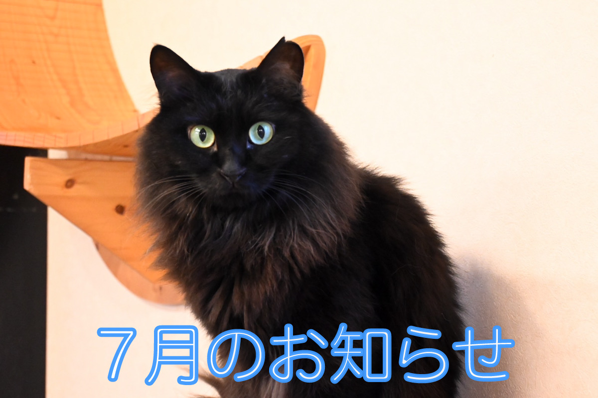 Uni