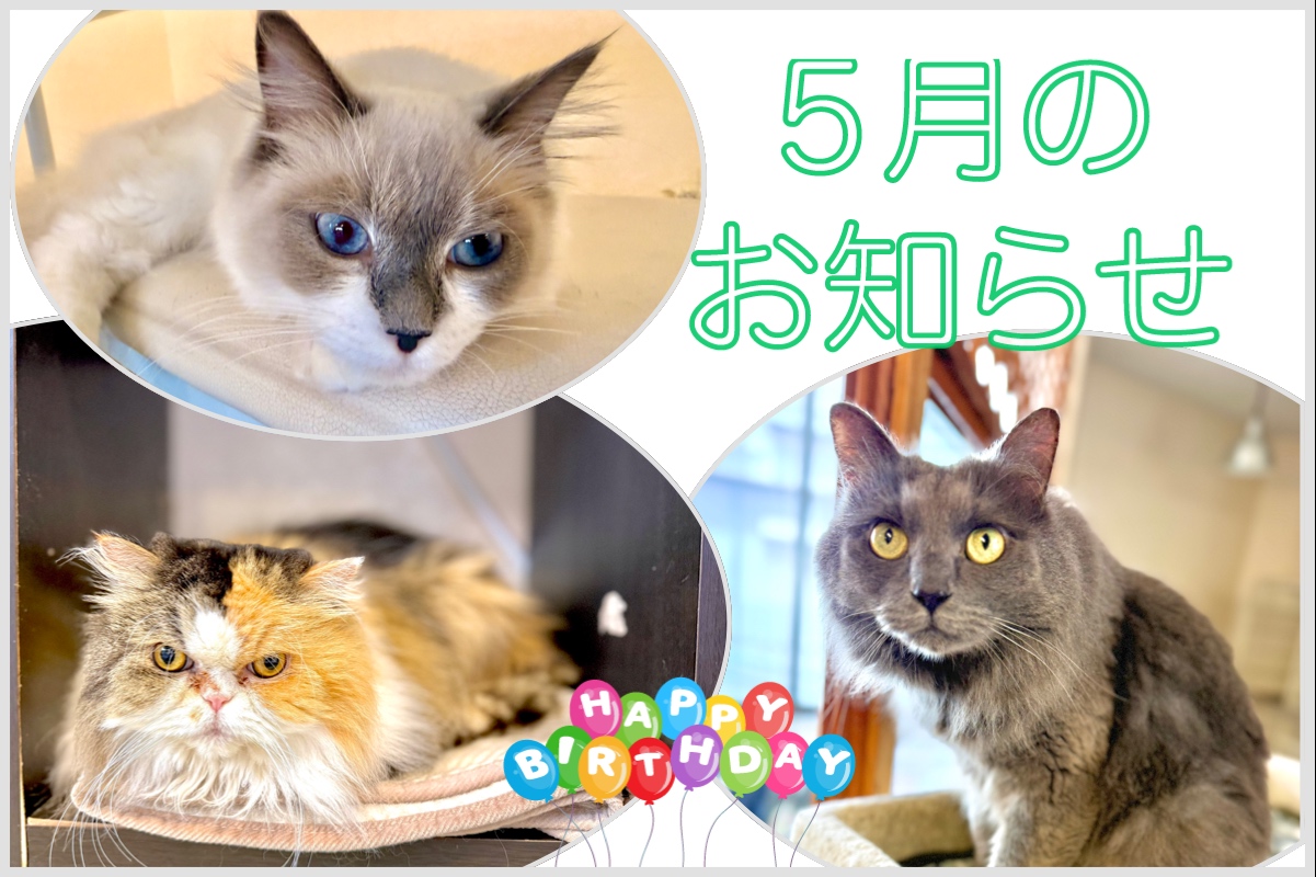 5���̂��m�点