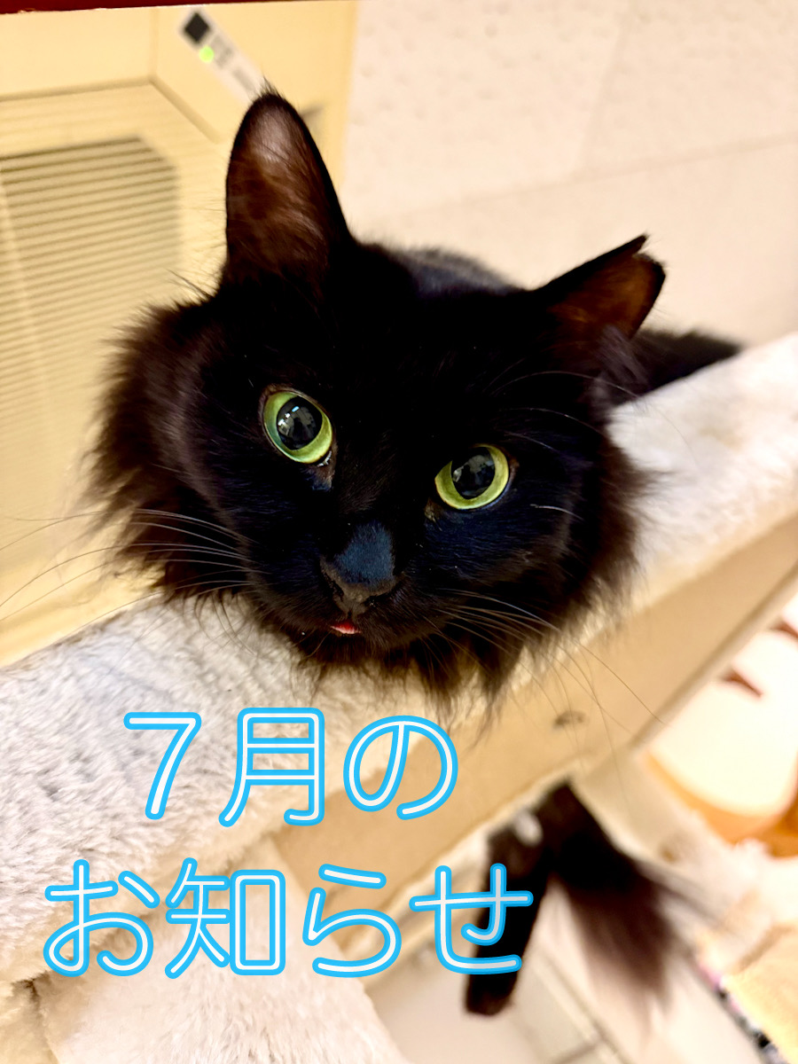 uni