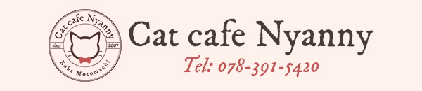 LJtF cat cafe nyanny